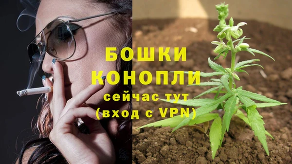 2c-b Абдулино