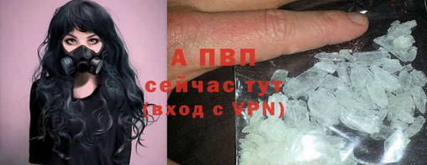 спиды Абаза