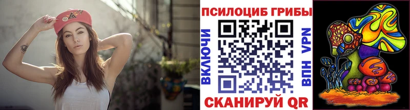 купить закладку  МЕГА ссылка  Псилоцибиновые грибы Magic Shrooms  Чита 