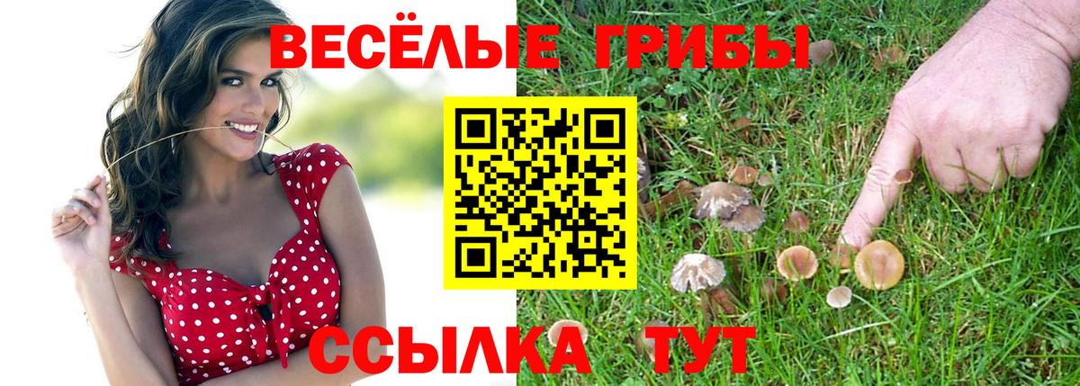 Псилоцибиновые грибы GOLDEN TEACHER  Галлюциногенные грибы Psilocybine cubensis  Чита  Вход с VPN 